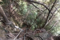 DSCN0160