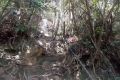 DSCN0161
