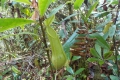 DSCN2319