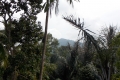 DSCN5422