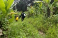 DSCN5432