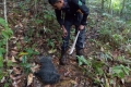 DSCN5441