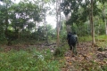 DSCN5446