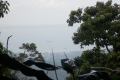 DSCN5450