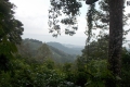 DSCN5460