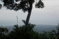 DSCN5473