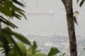 DSCN5477