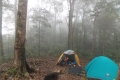 DSCN5498
