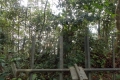DSCN5507