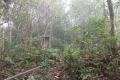 DSCN5532
