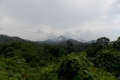 DSCN5540
