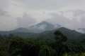 DSCN5541