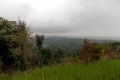 DSCN5547