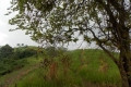 DSCN5550