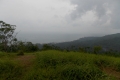 DSCN5554