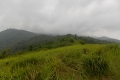 DSCN5555
