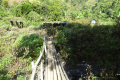 DSC04796