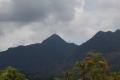 DSCN2531