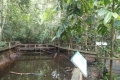 DSCN2545