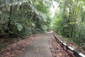 DSCN2549