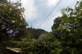 DSCN2575