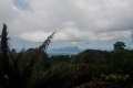 DSCN2603