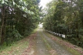 DSCN2612
