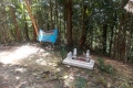 dscn2024