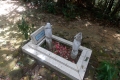 dscn2025