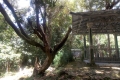 DSCN2028