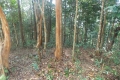 DSCN2031