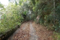 DSCN2072