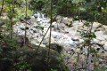 IMG_20230715_103119