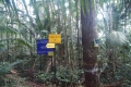 DSCN4839