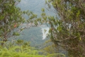 DSCN4872