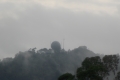 DSCN4877