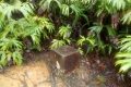 DSCN4894
