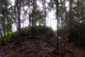 DSCN4897