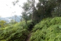DSCN4903