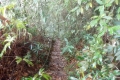 DSCN4905