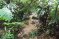 DSCN4923