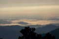 DSCN0042