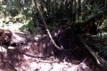 DSCN0086