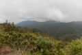 DSCN0186