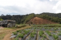 DSCN0199