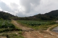DSCN0201